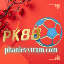 Phạm Minh Hoàng Vũ