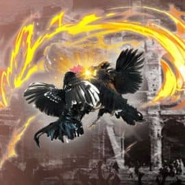 Phạm Minh Gia Khang